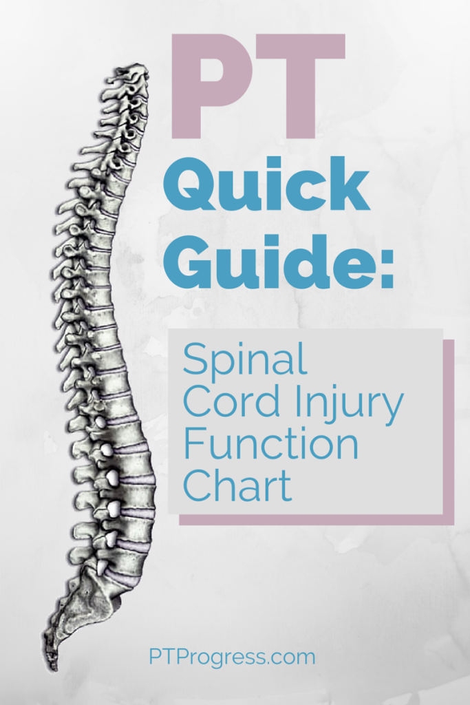 Spinal Cord Injury Levels And Function Chart