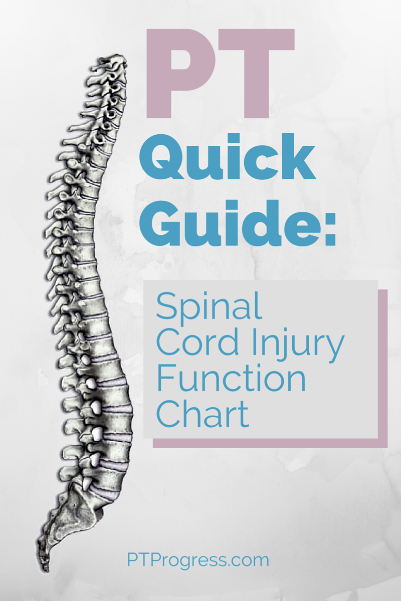 Spinal Cord Injury Chart