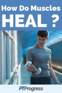 Muscle Strain: How to Heal Sore Muscles