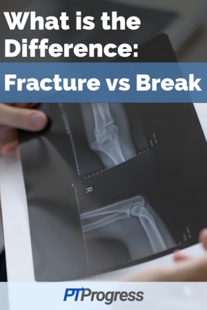 difference between fracture and break