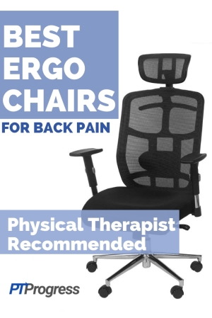 ergonomic stool for back pain