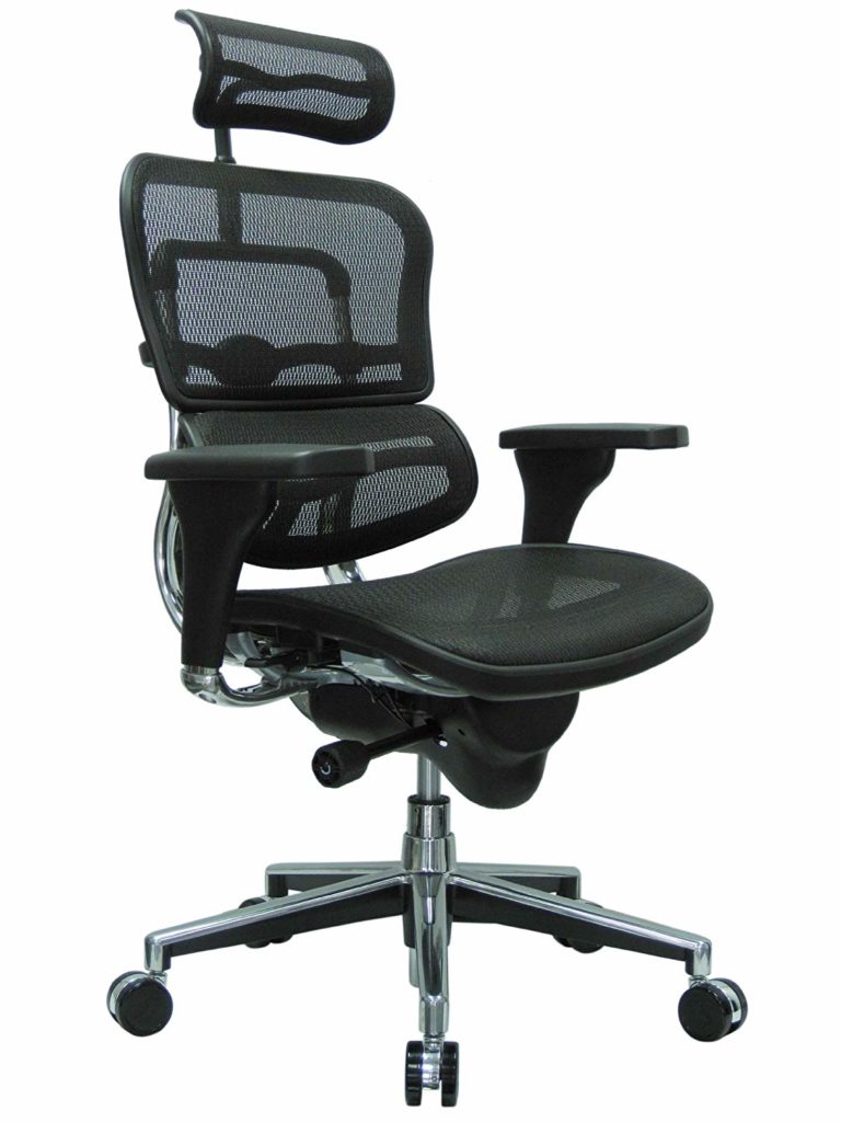 Ergohuman high back chair