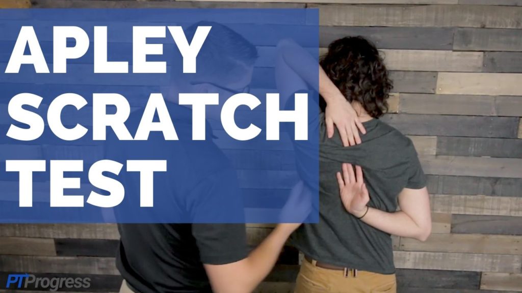 apley scratch test