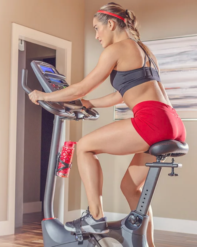 schwinn airdyne workouts