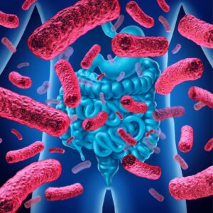 probiotic kombucha benefits