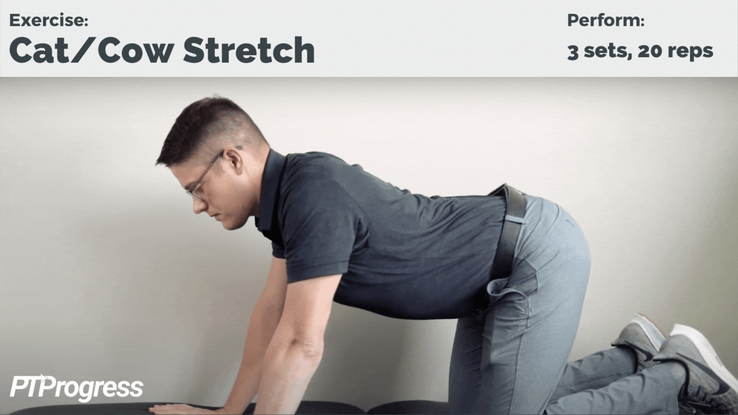 8 Higher Again Stretches for Fast Ache Aid foppa.casa