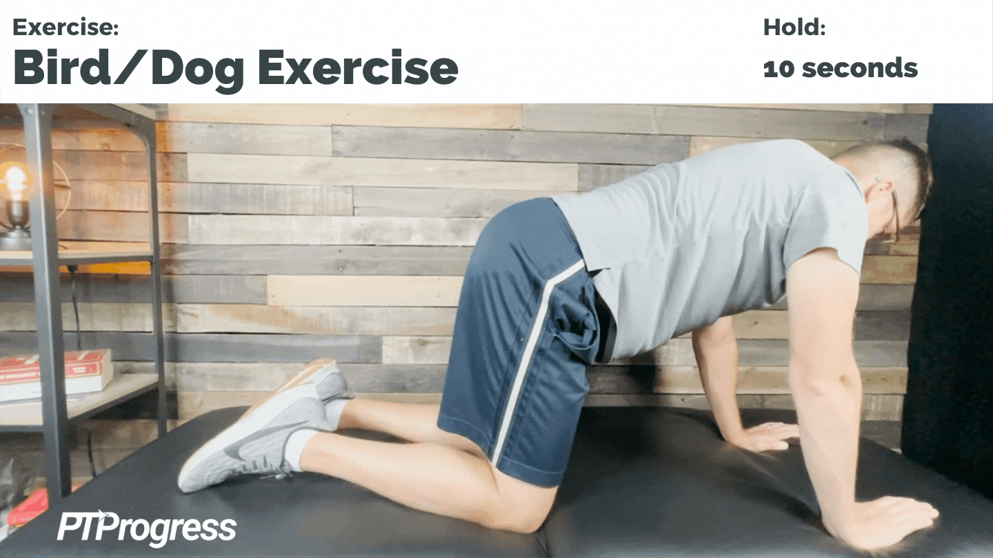 bird/dog exercise for back pain