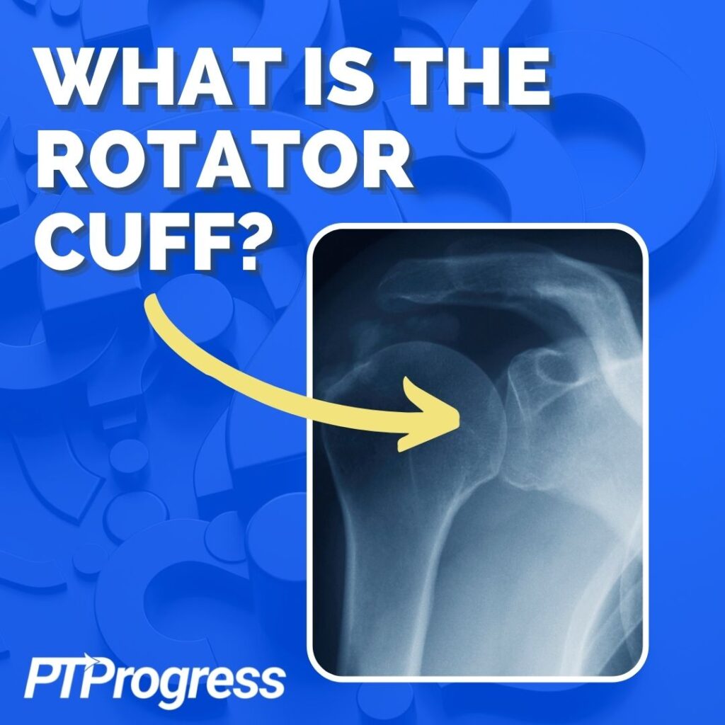 what is the rotator cuff 