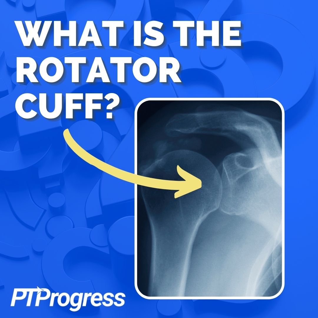 What is the Rotator Cuff All You Need to Know About This Muscle