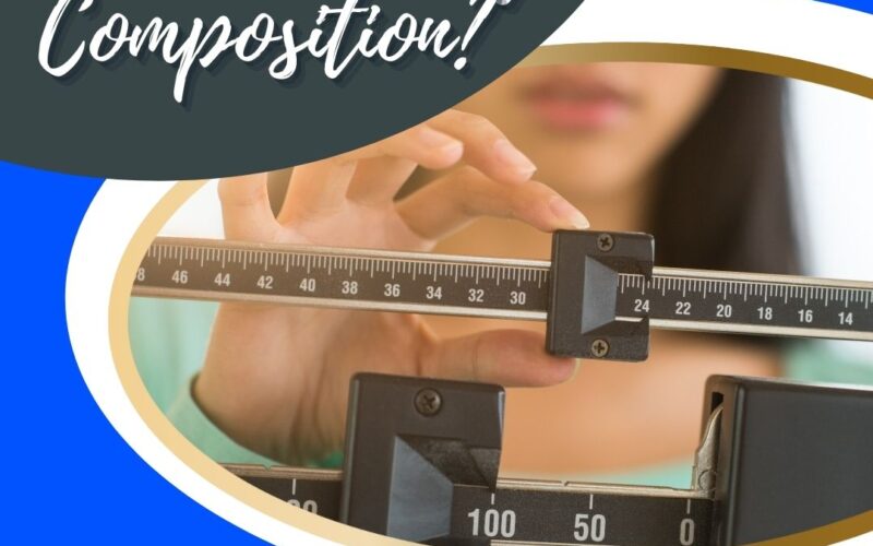 what is body composition