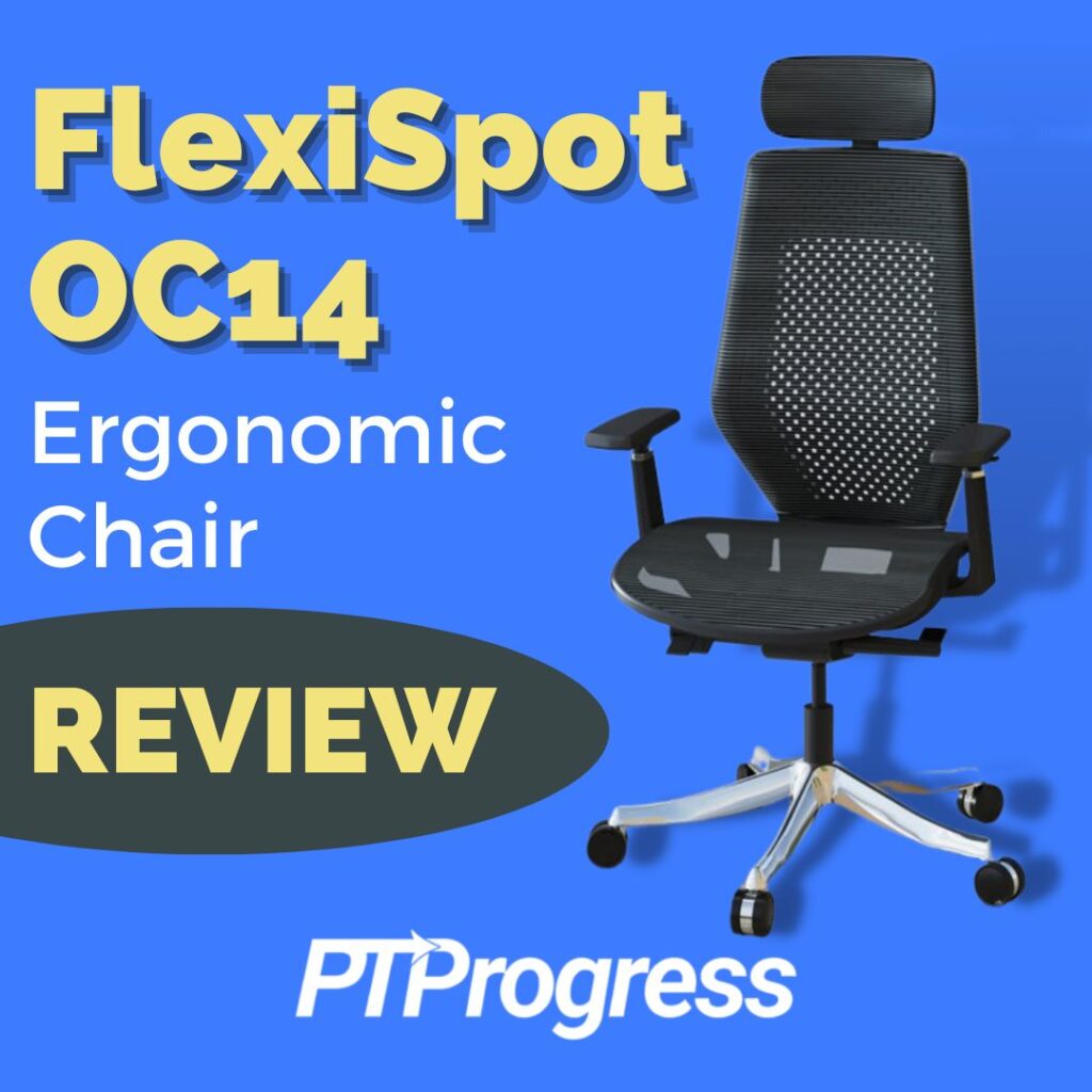 FlexiSpot OC14 Ergonomic chair review