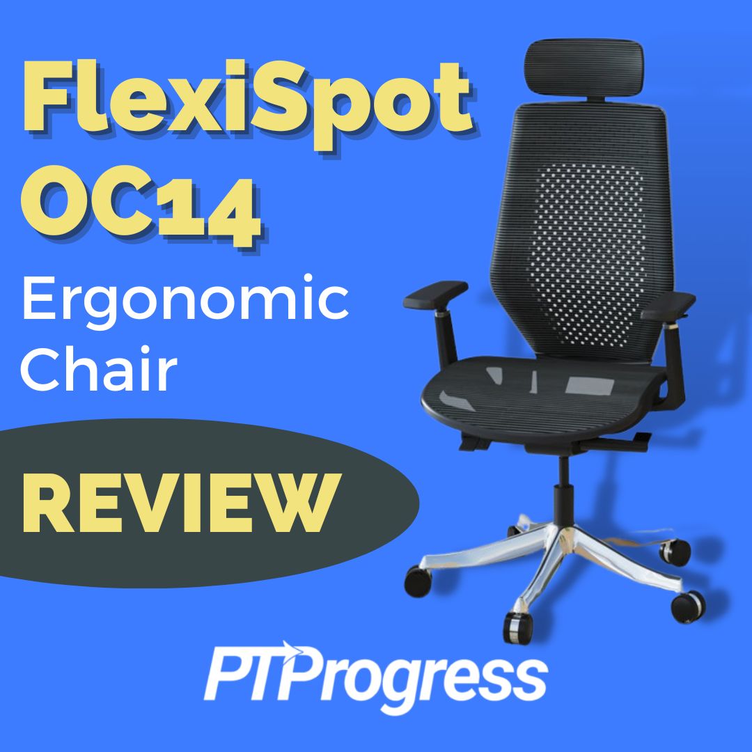 FLEXISPOT Ergonomic Office Chair Height Adjustable Computer Chair Home  Office Desk Chairs with Wheels Adjustable Headrest Armrests Blue