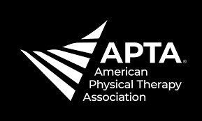 American physical therapy association