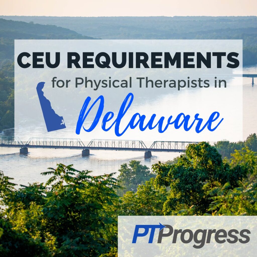 Delaware physical therapy continuing education requirements