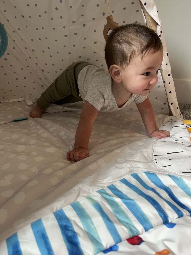 6-month-old in plank developmental milestones