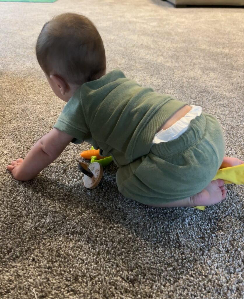 developmental milestones 6-month-old