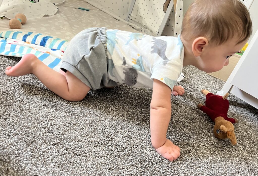 crawling 6-month-old