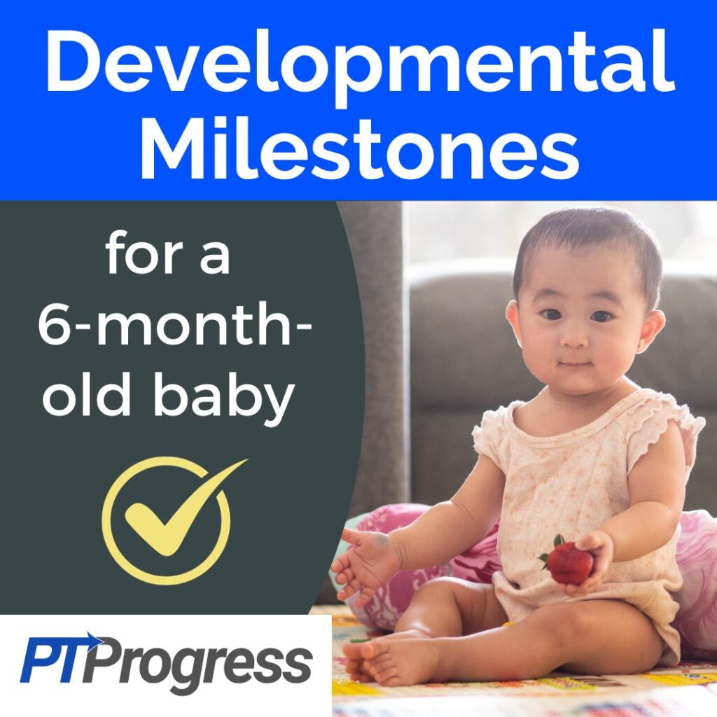 6-month-old developmental milestones